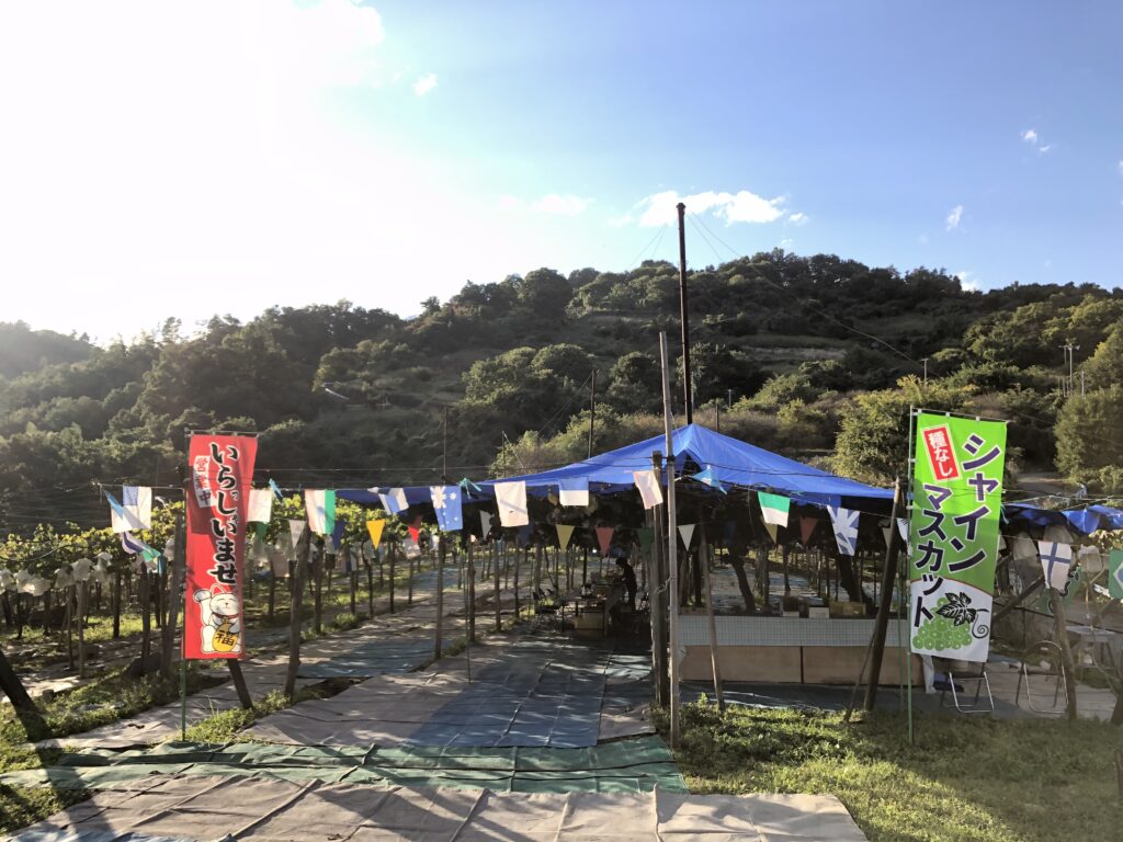 のぼり旗が立つ三渓園の入口